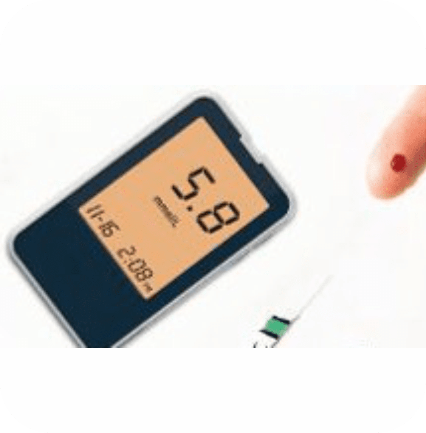 Blood glucose monitor